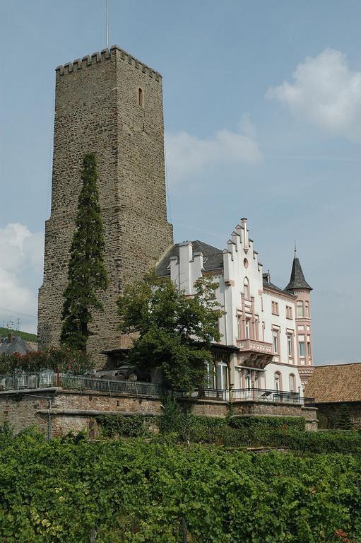 Ferienwohnung David Lorch am Rhein Zewnętrze zdjęcie