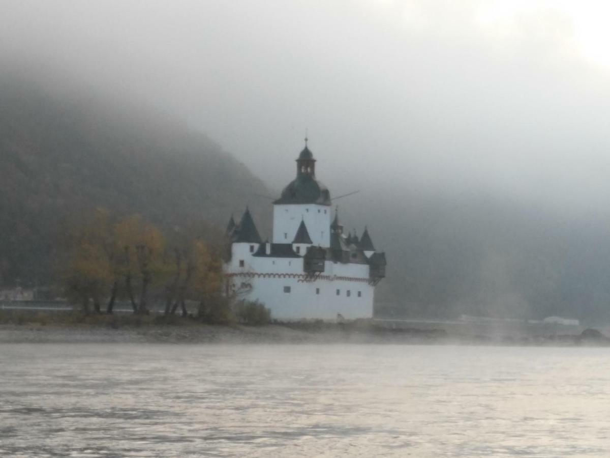 Ferienwohnung David Lorch am Rhein Zewnętrze zdjęcie